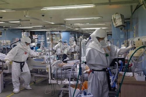 Trung Quốc phát hiện virus mới ở dơi có thể lây sang người giống Covid-19