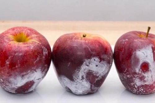 2 loại quả dễ 'tắm'' hóa chất, cái số 1 giòn ngọt nhiều người mê