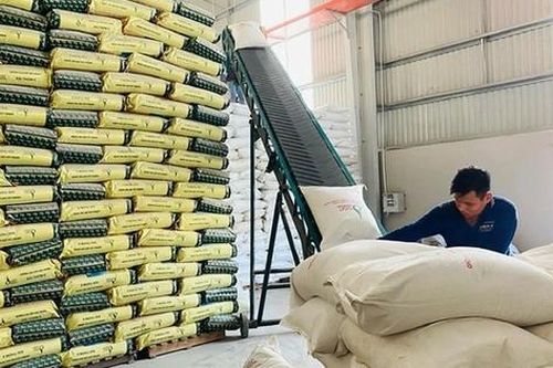 Vì sao giá gạo Việt 'hạ nhiệt' nhưng vẫn neo ở mức cao?