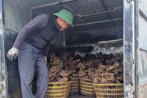Vụ tranh chấp bè hàu tại Tx.Quảng Yên: Sẽ xử lý việc đưa tin thất thiệt
