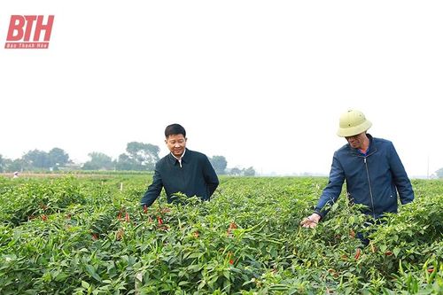 Xây dựng các mô hình giá trị kinh tế lớn ở Yên Định