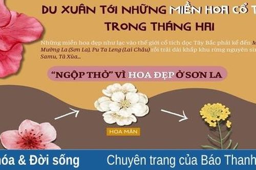 Du Xuân tháng Hai: Gợi ý một số địa điểm ngắm hoa