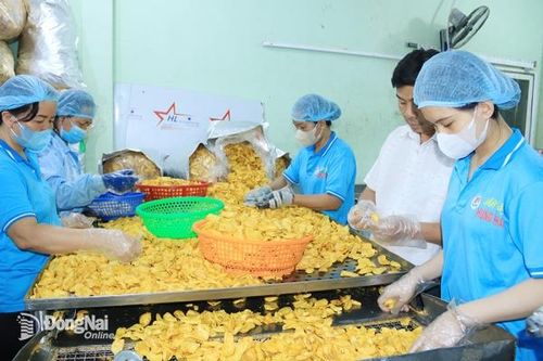 Doanh nghiệp tập trung cho mùa sản xuất đầu năm