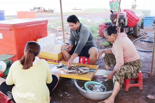 Mưu sinh bằng nghề làm thuê