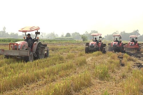 Hợp tác xã Dịch vụ Nông nghiệp Hòa Long cung cấp dịch vụ công nghệ cho nông dân