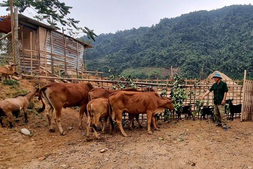 Xã Mường Tè: Thực hiện vượt chỉ tiêu thu nhập