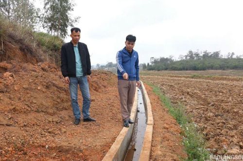 Công ty TNHH MTV Khai thác công trình thủy lợi: Đảm bảo nước tưới cho sản xuất vụ xuân