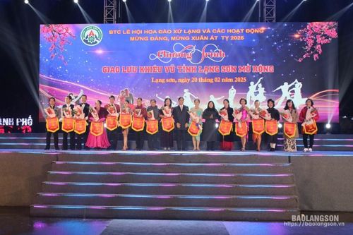 Gần 400 người tham gia giao lưu khiêu vũ mở rộng