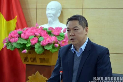 Kiểm tra tiến độ triển khai thực hiện dự án đầu tư xây dựng hạ tầng kỹ thuật Dự án cụm công nghiệp Đình Lập