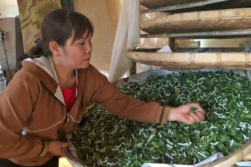 Góp phần mang lại ấm no, hạnh phúc trên quê mới Hoài Đức