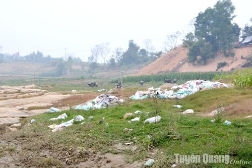 Giữ gìn, bảo vệ môi trường nước
