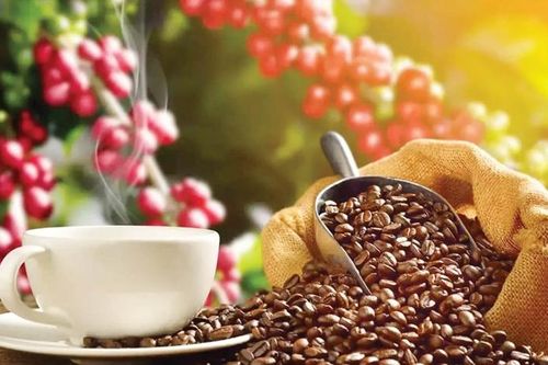 Thời tiết ngày càng khắc nghiệt khiến giá cà phê tăng vọt