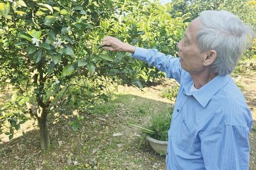 Gần 250ha đất để hoang, dân thiếu đất sản xuất