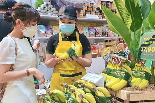 'Đại gia' Nhật Bản bao tiêu 1.500 ha chuối tại Lào của Hoàng Anh Gia Lai (HAG)