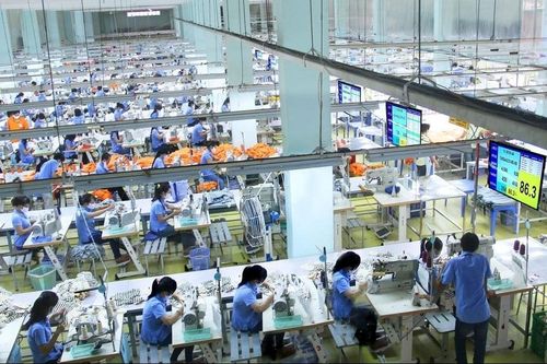 TCM khởi đầu 2025 tích cực: Lợi nhuận tăng 13%, đang nhận đơn cho quý 3