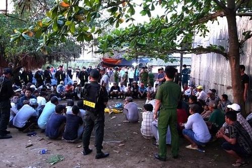 Triệt phá trường gà do 'Ba Heo' tổ chức, tóm 75 con bạc đang sát phạt