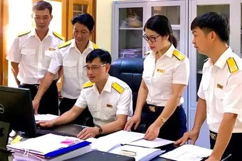 Kiểm tra việc xử lý vi phạm hành chính lĩnh vực thuế