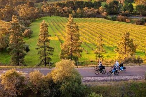 Việt Nam góp mặt trong danh sách 'hạt giống' 76 điểm đến nghỉ dưỡng thư giãn 2025