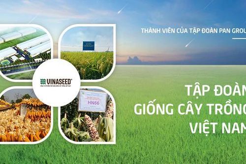 Vinaseed (NSC) có tân Chủ tịch trước thềm ĐHĐCĐ thường niên năm 2025