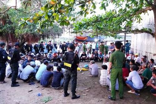 Bắt 75 đối tượng đá gà trên đê biển, thu giữ trên 200 triệu đồng