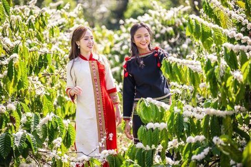 Nhiều hoạt động đặc sắc, ấn tượng tại Lễ hội Cà phê Buôn Ma Thuột năm 2025