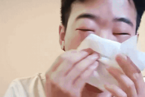 Người Việt mắt sưng vù, hắt hơi ra máu vì 'căn bệnh quốc dân' ở Nhật