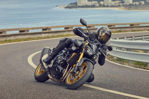 Honda ra mắt loạt xe máy mới, giá cao nhất hơn 620 triệu đồng