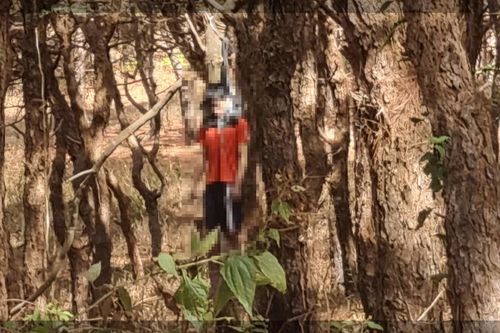 Gia Lai: phát hiện người đàn ông tử vong trong tư thế treo cổ