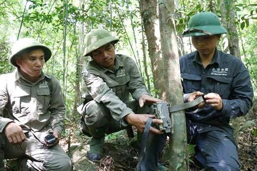 Bảo tồn động vật hoang dã nguy cơ tuyệt chủng