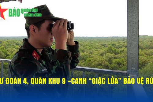 Sư đoàn 4, Quân khu 9 - Canh 'giặc lửa' bảo vệ rừng