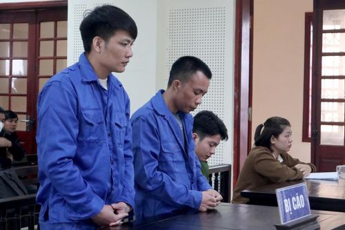 Anh em rể 'kéo' nhau vào tù vì ma túy