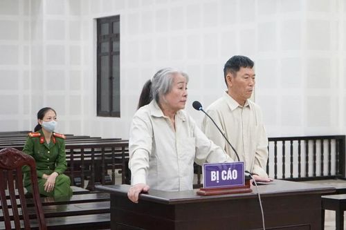 Làm giả hồ sơ đất để lừa bán, chiếm đoạt tiền vẫn một mực kêu oan