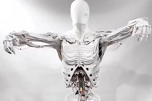 Video robot giải phẫu cơ thể người chuyển động hút hàng chục triệu lượt xem