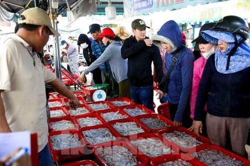 Mực tươi đầy ắp, mua bán nhộn nhịp ở cảng cá lớn nhất miền Trung