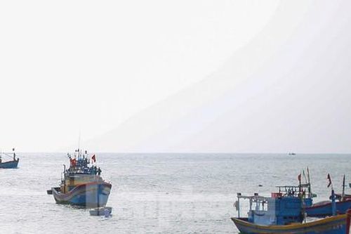 Hai ngư dân Bình Định rơi xuống biển mất tích