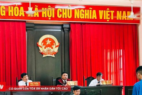 Lãnh án vì gây ra hàng loạt vụ trộm cắp