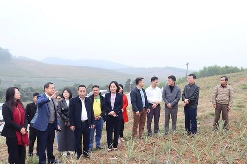 Nafoods nỗ lực chuẩn hóa mã số vùng trồng, nâng giá trị thương hiệu nông sản