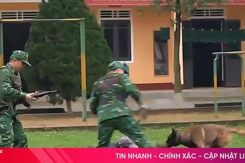 Xem cảnh khuyển của BĐBP Hà Tĩnh dũng mãnh tấn công 'tội phạm'