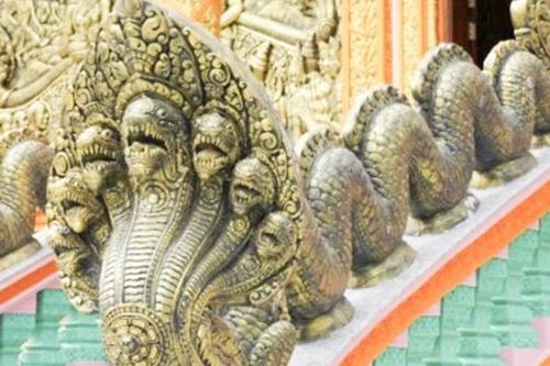 Về Bạc Liêu nghe chuyện hình tượng rắn