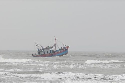 Nỗ lực tìm kiếm 2 ngư dân Bình Định rơi xuống biển mất tích