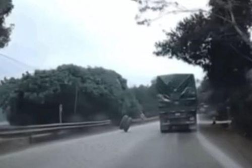 Hi hữu: Đang cắt cỏ bên đường, người đàn ông bị lốp ô tô văng trúng tử vong