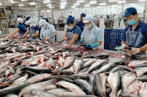 Doanh thu giảm, xuất khẩu của Vĩnh Hoàn vẫn khởi sắc tại Mỹ và châu Âu