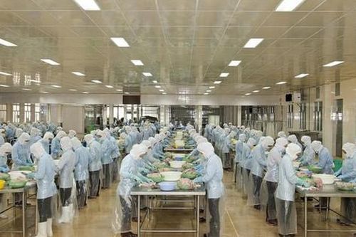 Tập đoàn PAN nhận hàng chục tỷ đồng cổ tức từ Thủy sản Bến Tre