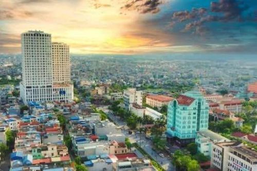 Tỉnh, thành nào trồng nhiều cây cảnh nhất Việt Nam?