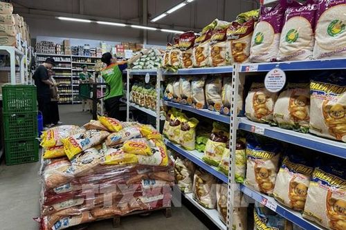 Indonesia duy trì dự trữ gạo quốc gia để ứng phó với thách thức lương thực toàn cầu