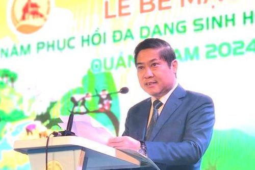 Phát triển Quảng Nam thành một trong các tỉnh tiên phong về kinh tế tăng trưởng xanh