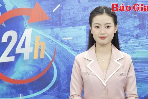 Gia Lai 24h: Khẩn trương điều tra hơn 700 cây cao su, điều bị cháy ở Ia Nan