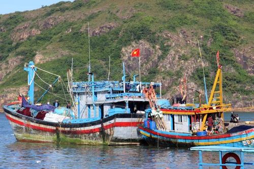 Bình Định: 2 thuyền viên rơi xuống biển, mất tích