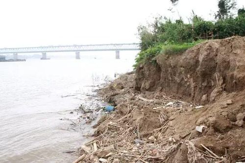 Hà Nội cấp bách xử lý 10 vị trí sạt lở đê