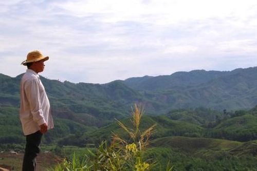Hướng tới Net Zero: Mỗi bữa ăn trồng 1 cây xanh
